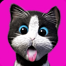 daily kitten游戏