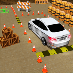 司机停车模拟器官方版