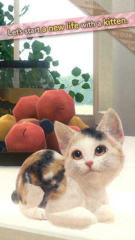 和我的猫在一起最新版 和我的猫在一起游戏