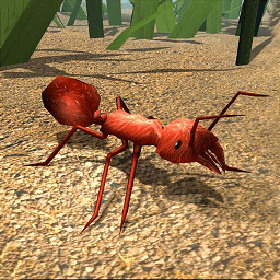 丛林抵御战手机版