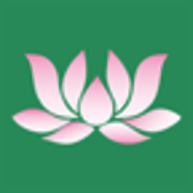 卜蜂莲花停车管理平台