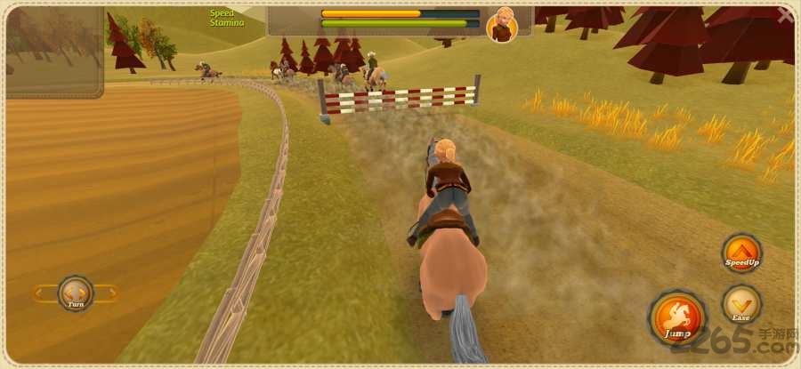 冠军农场游戏下载